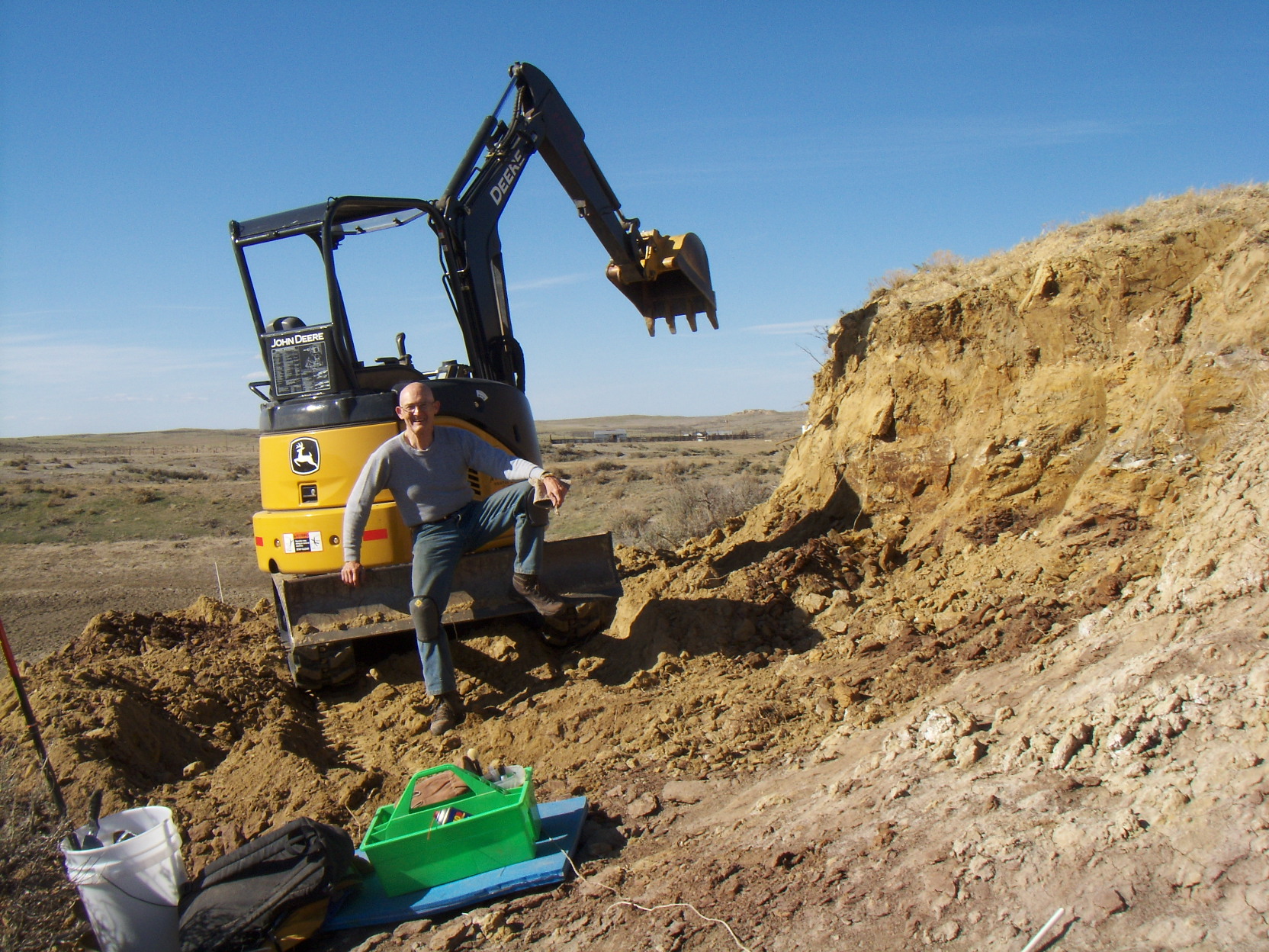 t rex fossil excavation